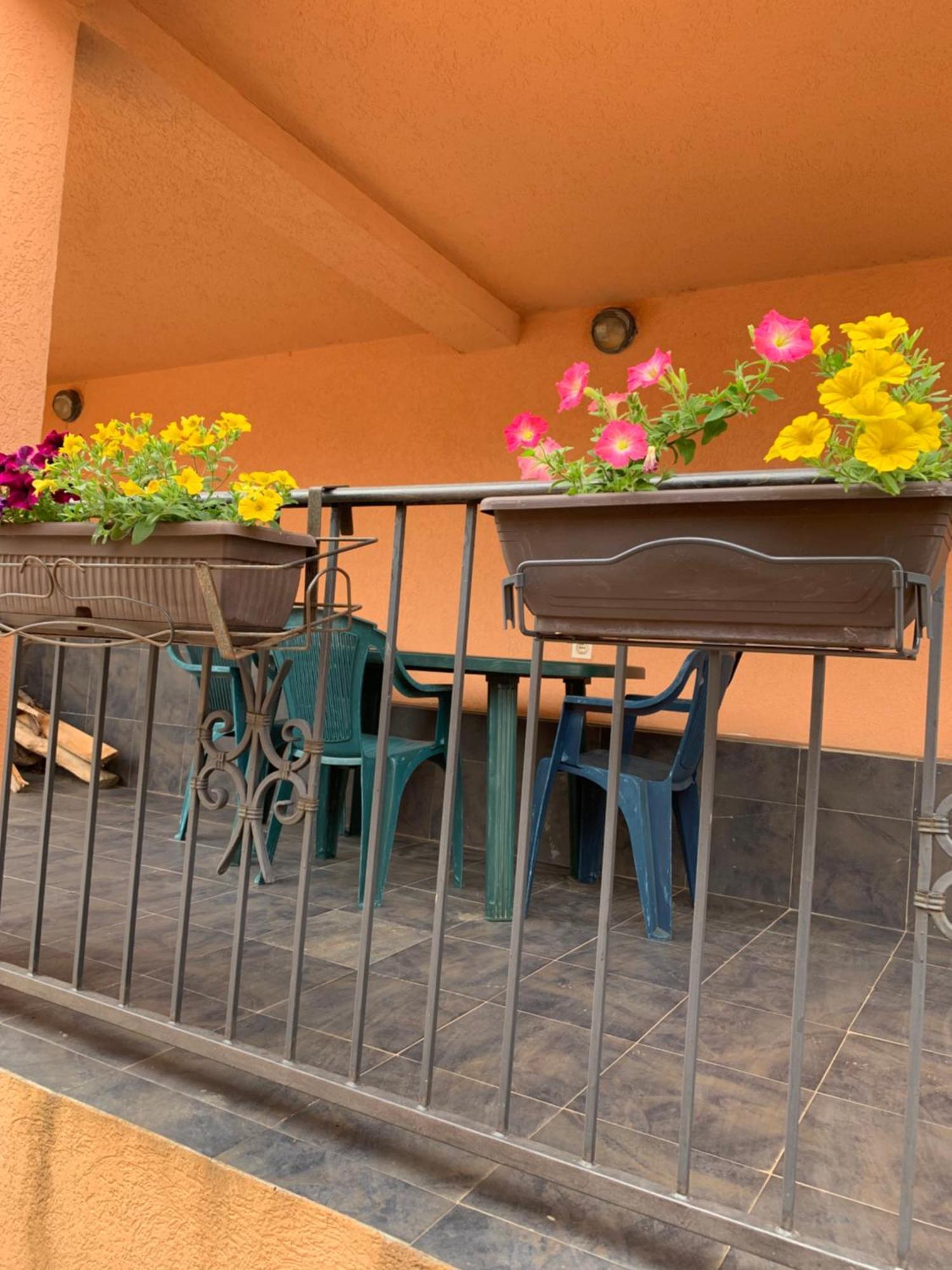 Villa Lila يوتجيها المظهر الخارجي الصورة